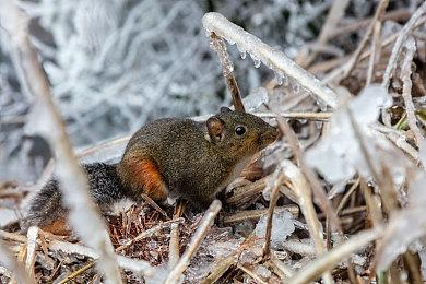 欧莱雅3D打印“类人皮肤” 未来有望真正拥有“感觉”